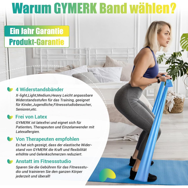 GYMERK Набір із 4 фітнес-еластик DGTPE4S-GD03, 1,8 м, 4 рівні опору (5017)