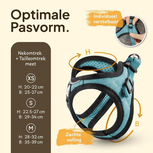 Комплект шлейки для котів Tierhood 123698745 з повідком, Розмір S, синій (4193)