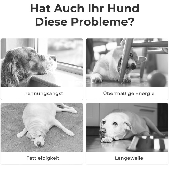 Інтерактивний м'яч для собак Cheerble C1221, голубий (3063)