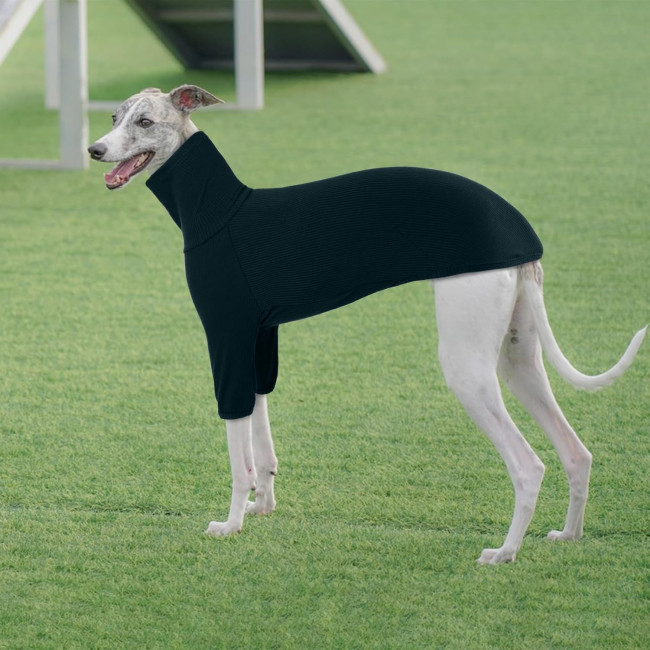 Пальто PUMYPOREITY для грейхаундів, темно-зелений (3189)