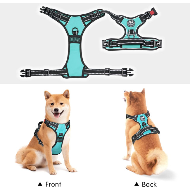 Шлейка для собак PoyPet 122020, світловідбиваючий жилет для собак, голубий (3106)