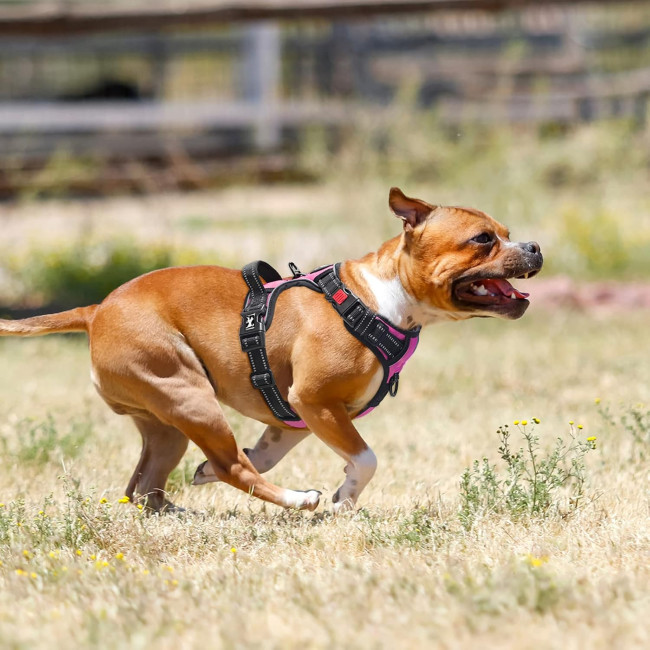 Шлейка PoyPet DH007084 для домашніх тварин з легкою м'якою ручкою, рожевий (3108)