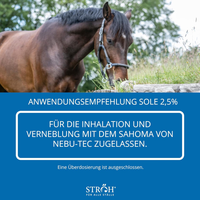 Сироп від кашлю STRÖH для коней, 1л. (4114)